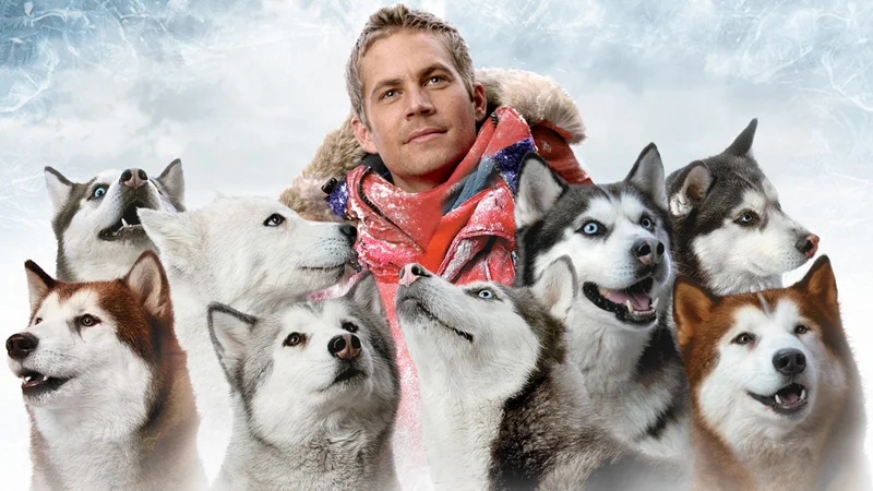 Eight Below Dog Movie